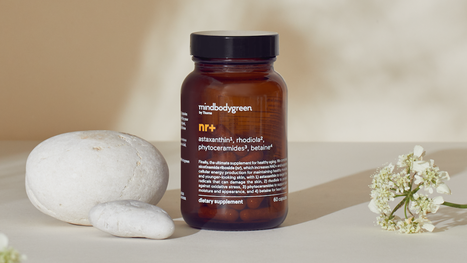 Case study card image